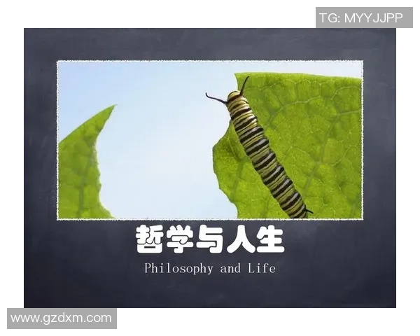 深度对话：探索吴娜羽毛球背后的故事与人生哲学