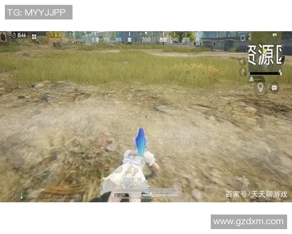 和平精英新手攻略：耐力入门指南_1